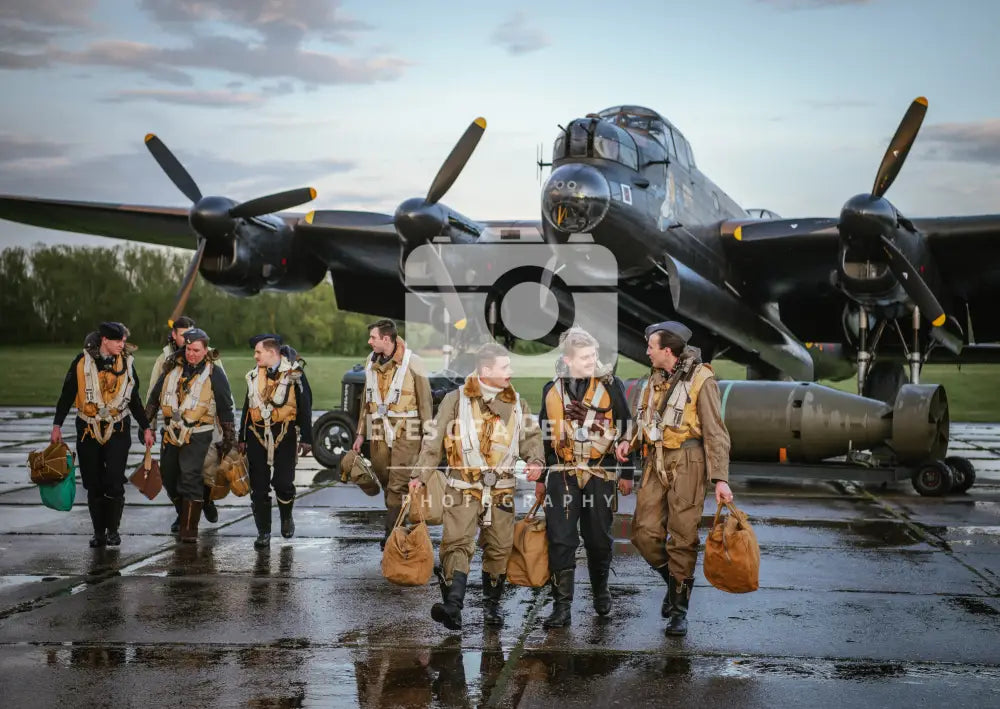 Just Jane and Crew Cards