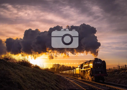 9F at Dawn Cards