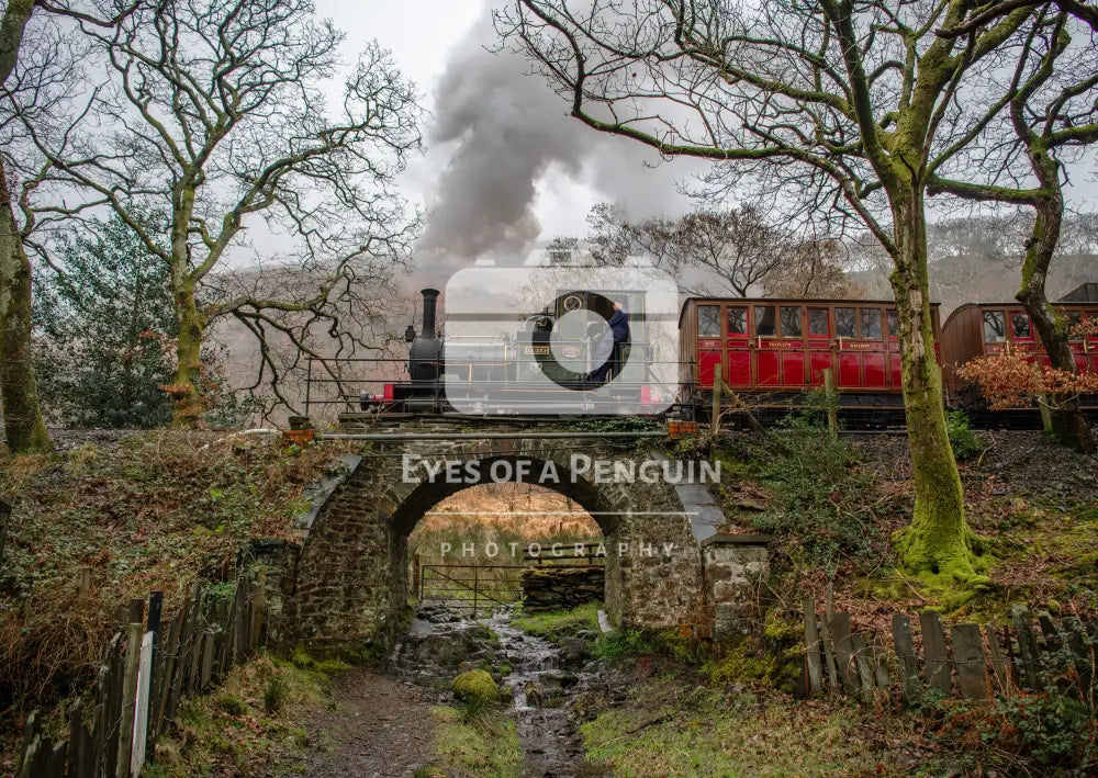’Dolgoch’ at Dolgoch Cards