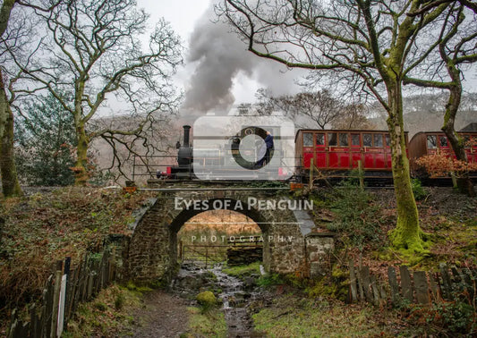 ’Dolgoch’ at Dolgoch Cards