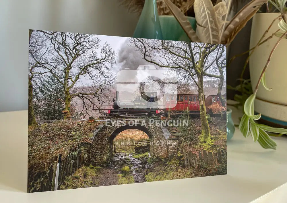 ’Dolgoch’ at Dolgoch Cards